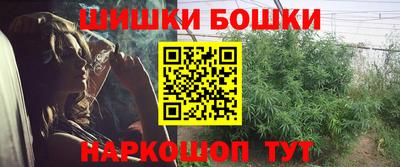 spice Заводоуковск