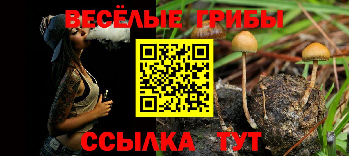 наркота  Вход с VPN  Лабытнанги  Псилоцибиновые грибы Magic Shrooms  Псилоцибиновые грибы прущие грибы 
