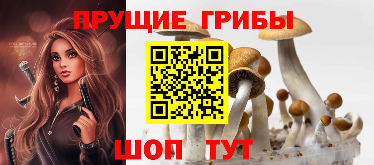 Псилоцибиновые грибы Cubensis Лабытнанги